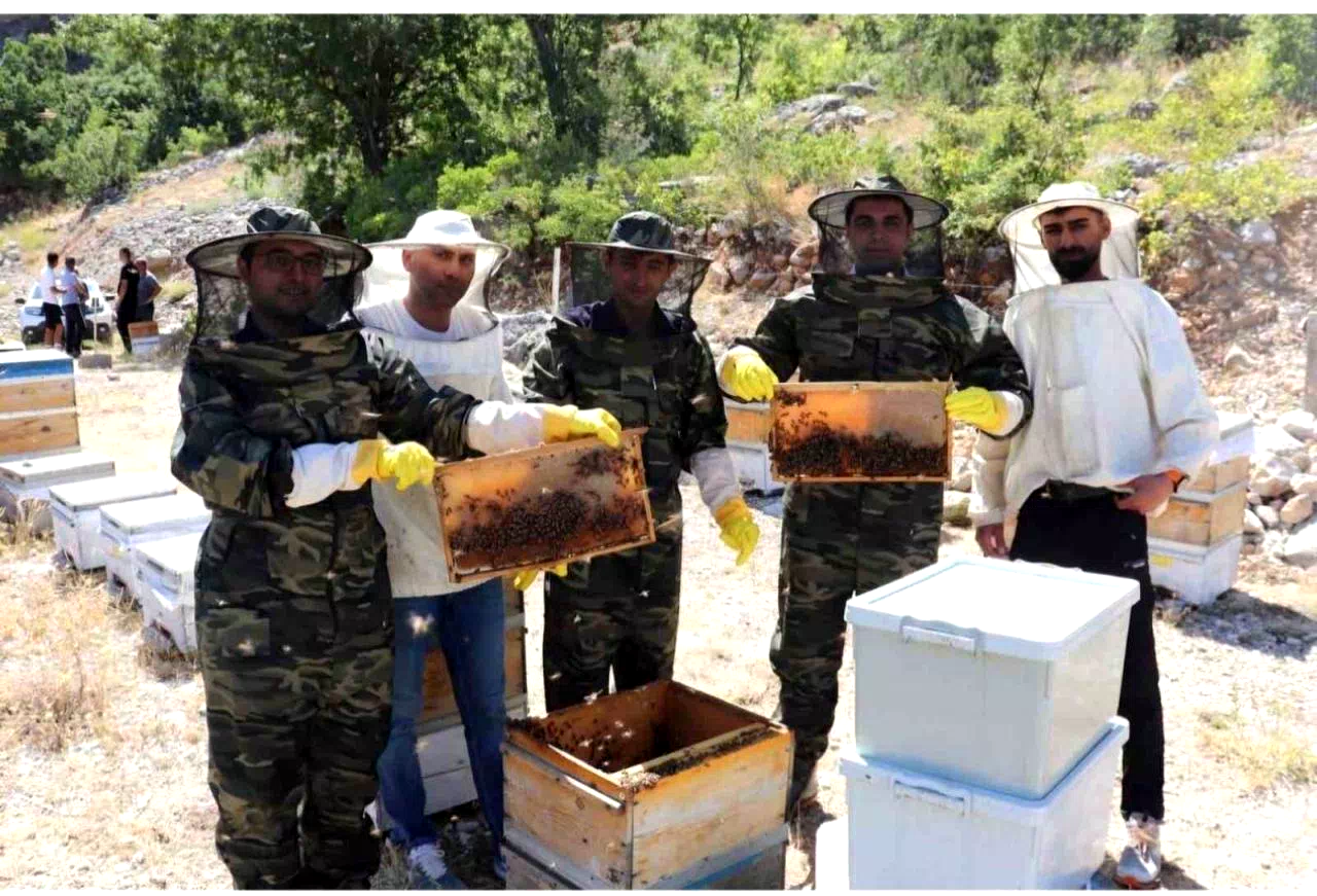 Kemah’ta arıcıların bal hasadı
