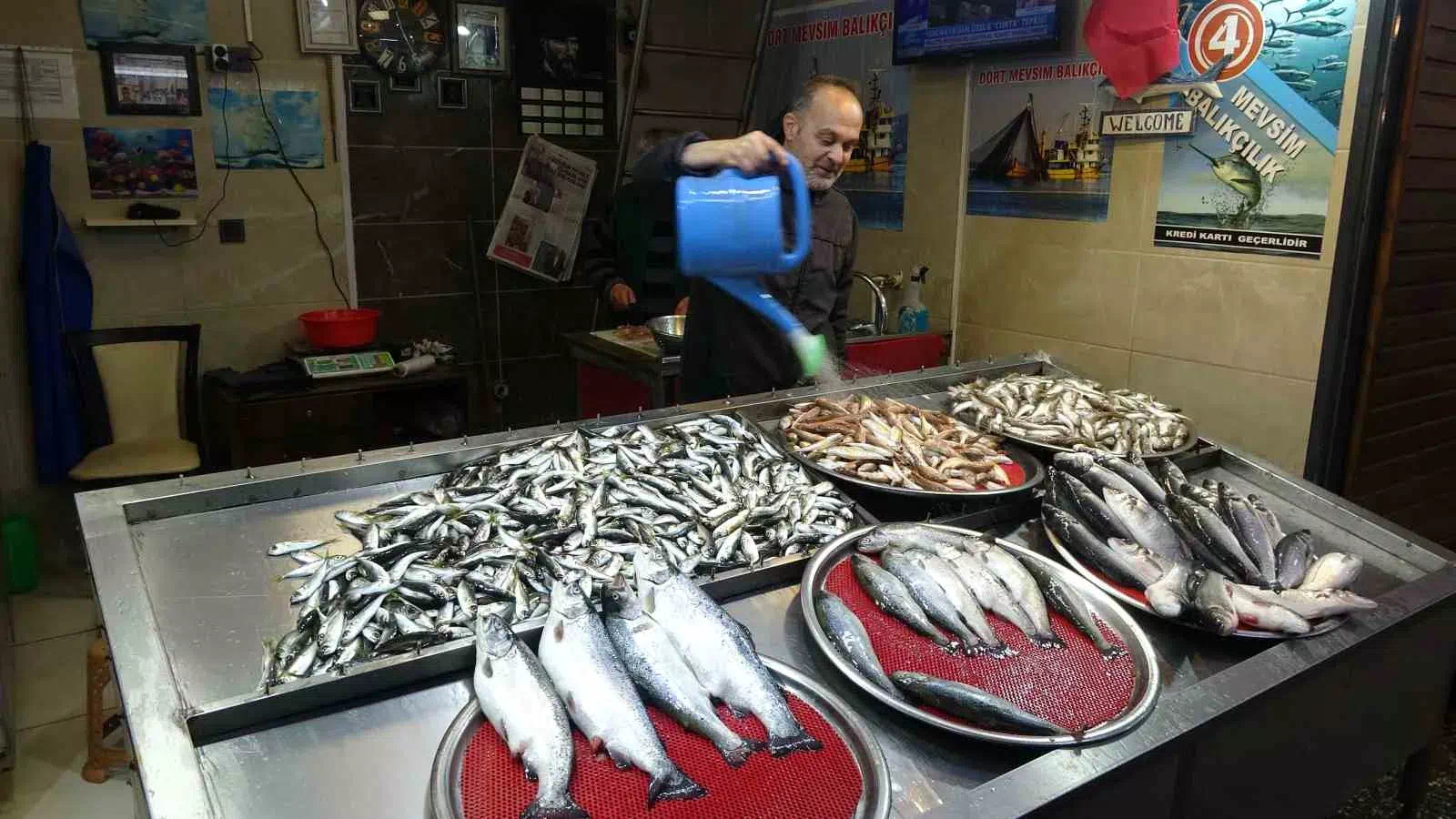 Karadeniz’de Bereketli Balık Av Sezonu Sonuna Yaklaşırken Tezgahlarda Mezgit ve İstavrit Öne Çıkıyor.