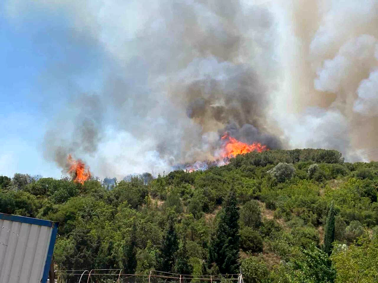 Kocaeli’de ağaçlık alanda çıkan yangına müdahale ediliyor