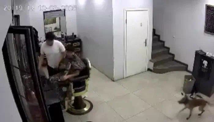 Kocaeli’de köpek sahibinin tıraş olması sırasında yaşanan komik anlar kamerada
