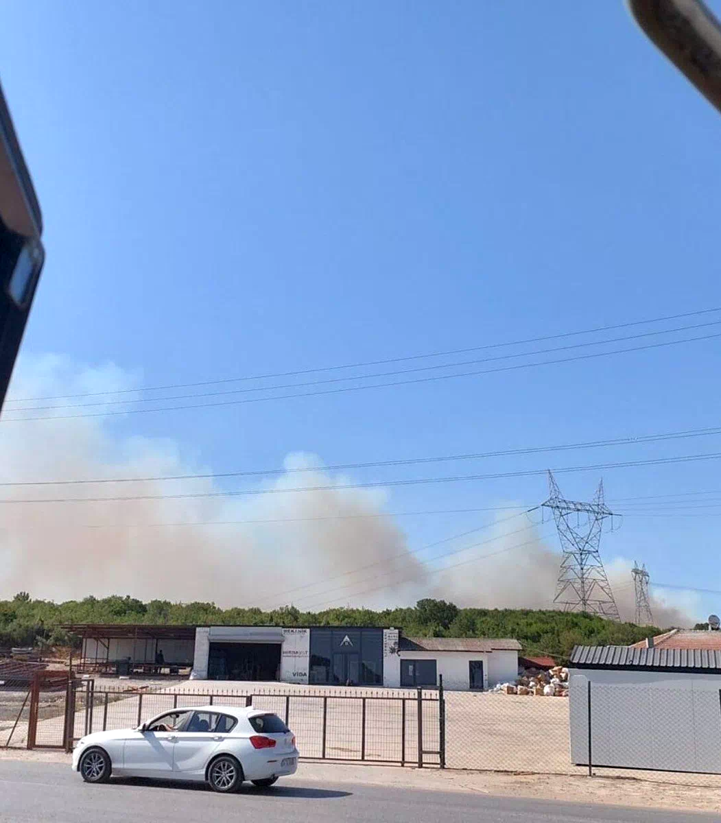 Kocaeli’de ormanlık alanda yangın çıktı