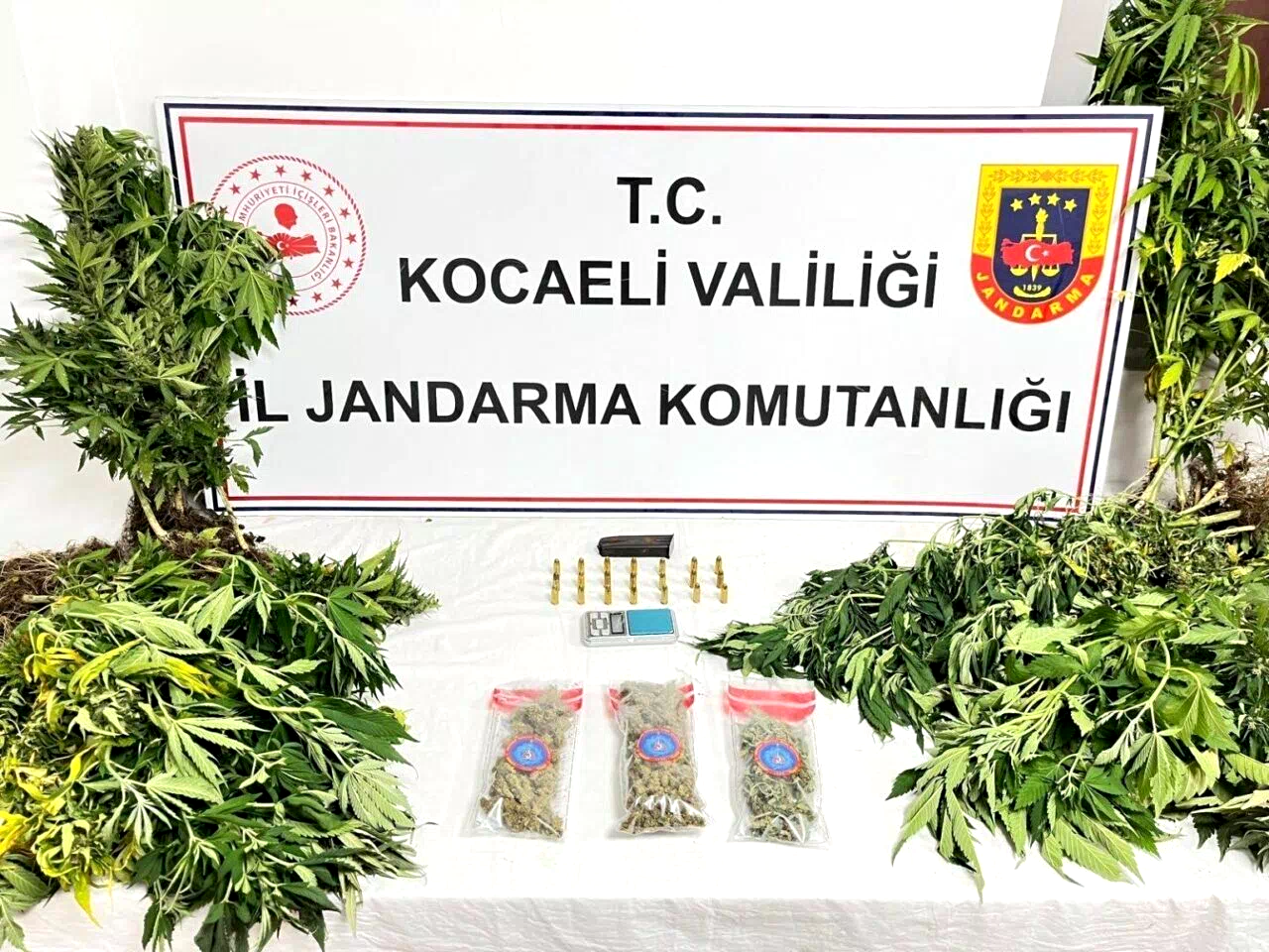 Kocaeli’de uyuşturucu operasyonlarında 1 şüpheli tutuklandı