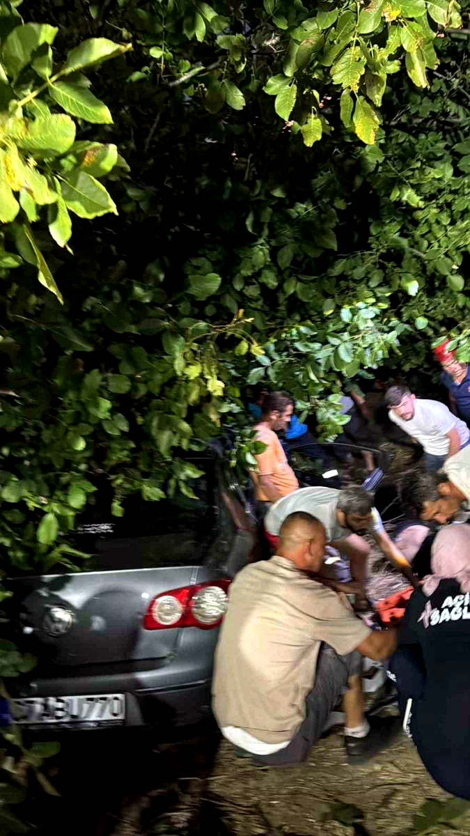 Kontrolden çıkan otomobil, ağaçlık alana girdi: 3 yaralı