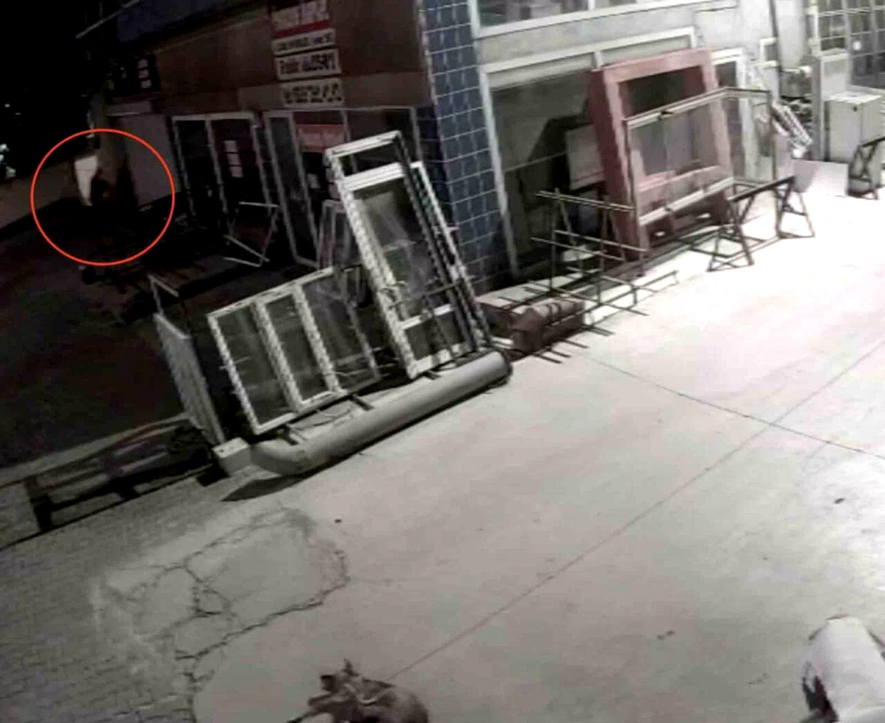 Köpeği önce aracıyla ezmeye çalıştı ardından tüfekle vurarak felç bıraktı