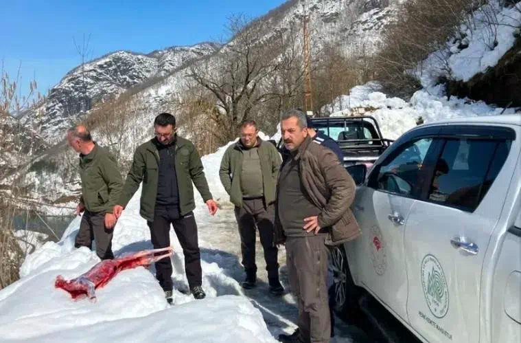 Koruma Altındaki Karacayı Avlayan Kaçak Avcılara Yüksek Cezai İşlem