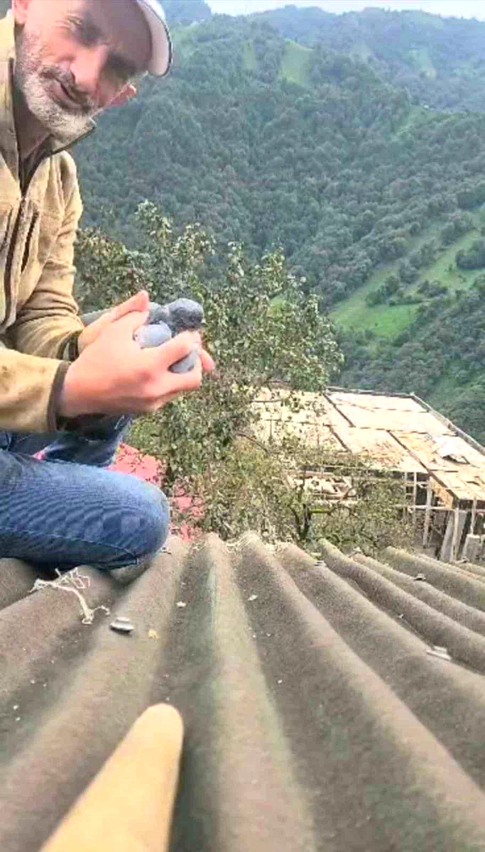 Köy sakininin dikkati ve duyarlılığı bir güvercini hayata bağladı