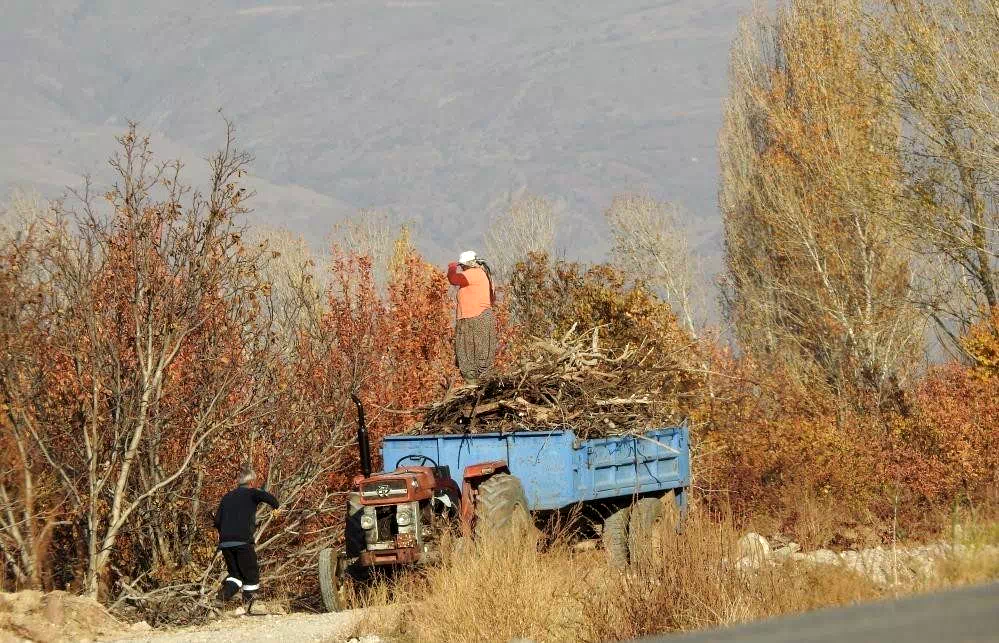 Köylerde kışlık odun hazırlığı