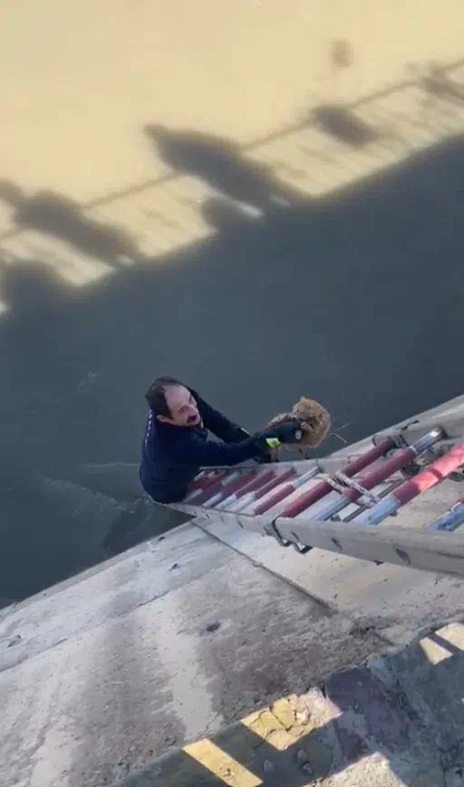 Kurtarılan kediler için itfaiye ve vatandaşlar birlikte hareket etti.