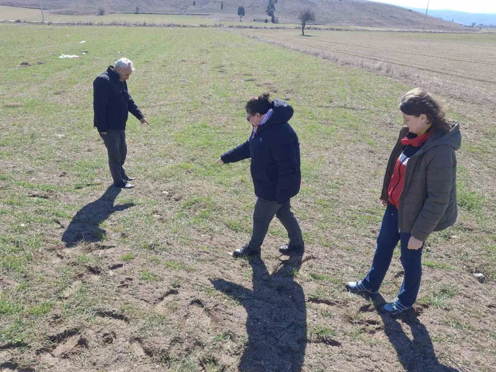 Kütahya’da Tarla Faresi İle Mücadelede Arazi Kontrolleri Devam Ediyor.