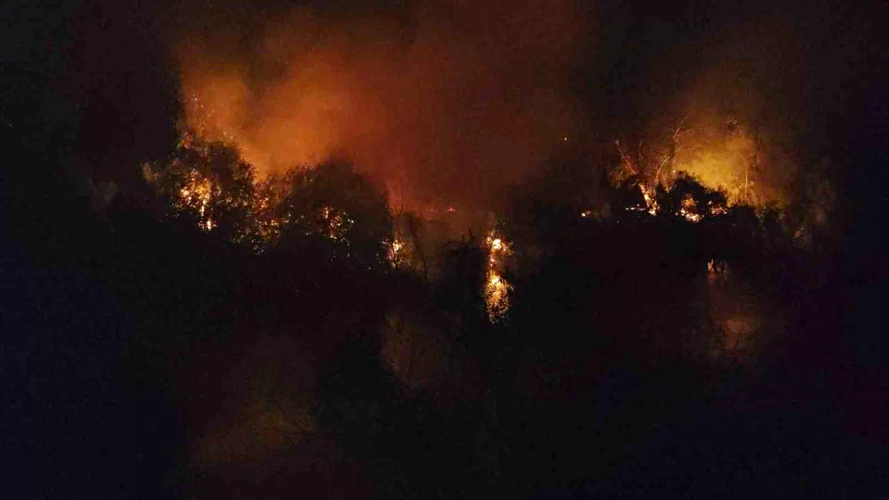 Manavgat’ta ırmak kenarındaki yangın korkuttu