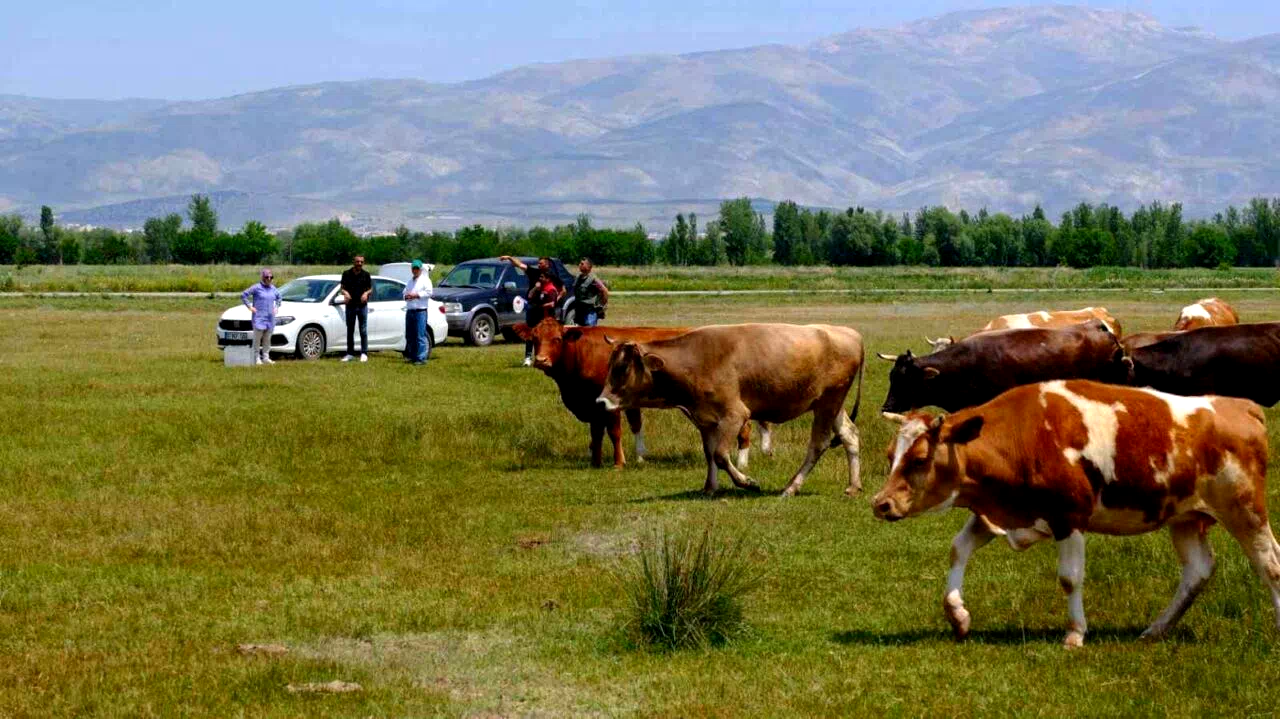Meralarda su arama çalışmaları yapılıyor