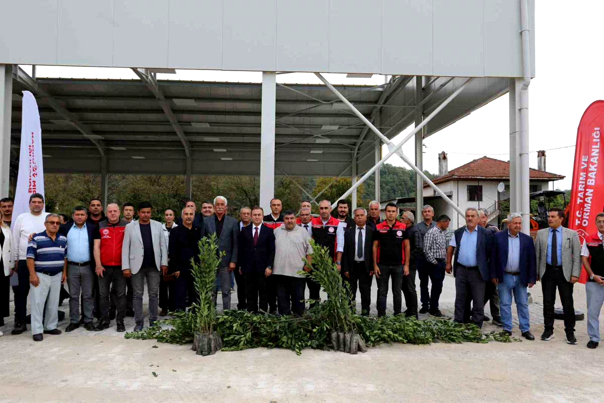Muğla’da Defne ihracatından 75 milyon dolar bekleniyor
