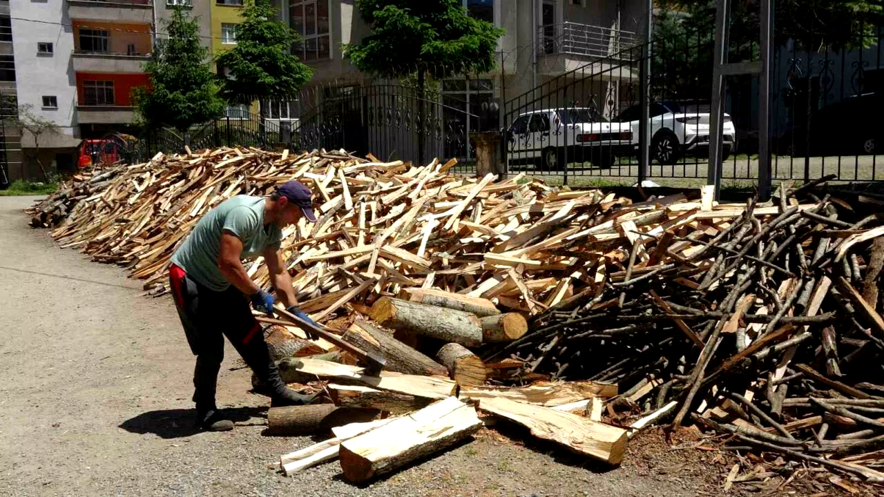 Odun kırma performansıyla şaşırtıyor
