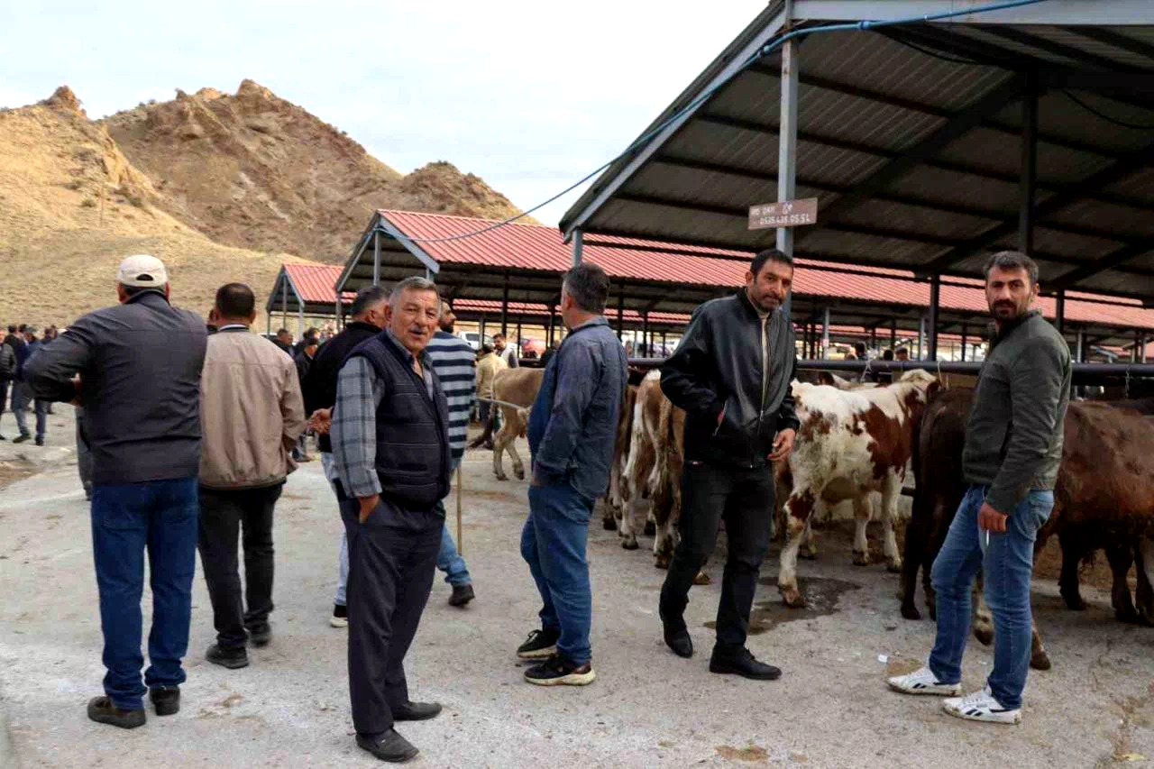 Oltu canlı hayvan pazarı şap hastalığı sonrası eski canlılığına kavuştu