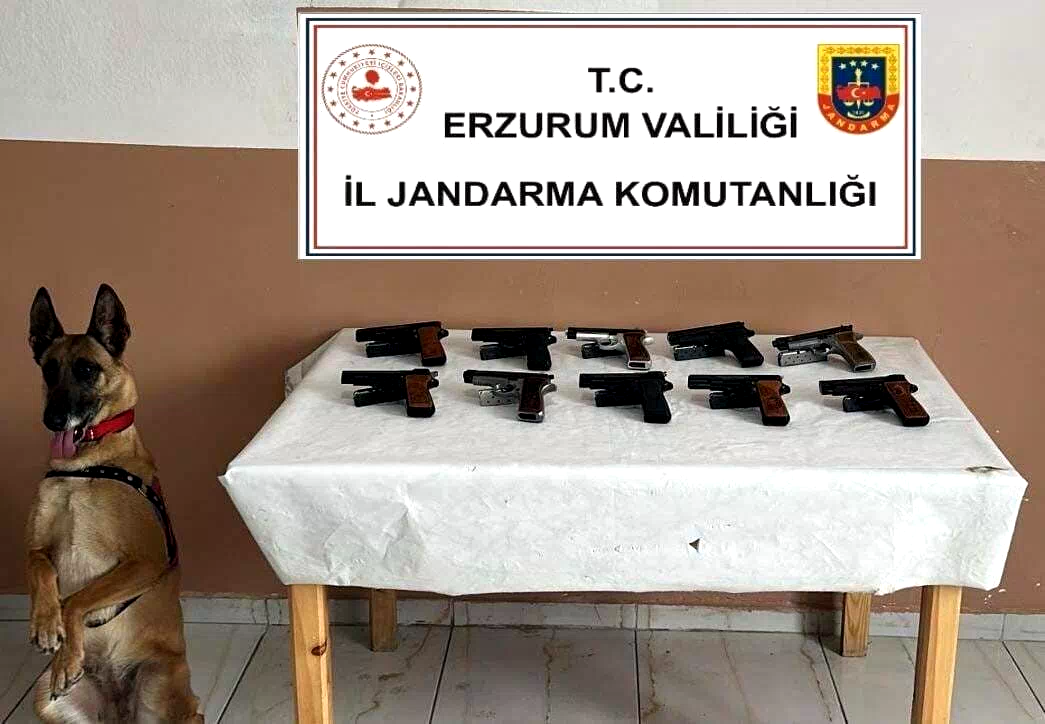 Oltu’da 10 adet ruhsatsız tabanca ele geçirildi
