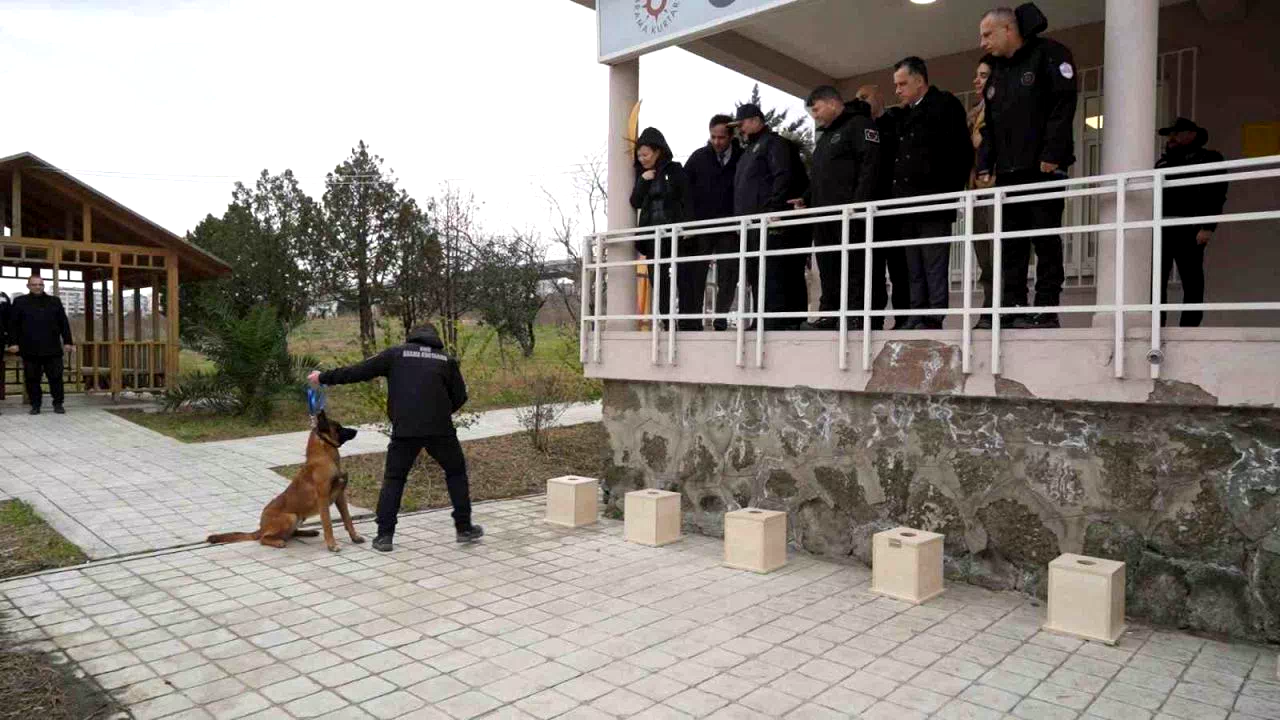 OMÜ’de yetiştirilen görev köpeği ’Pars’, Samsun Emniyeti’ne teslim edildi