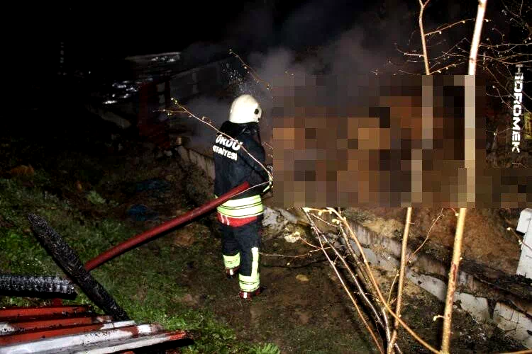 Ordu’da ahır yangını: 27 büyükbaş hayvan telef oldu