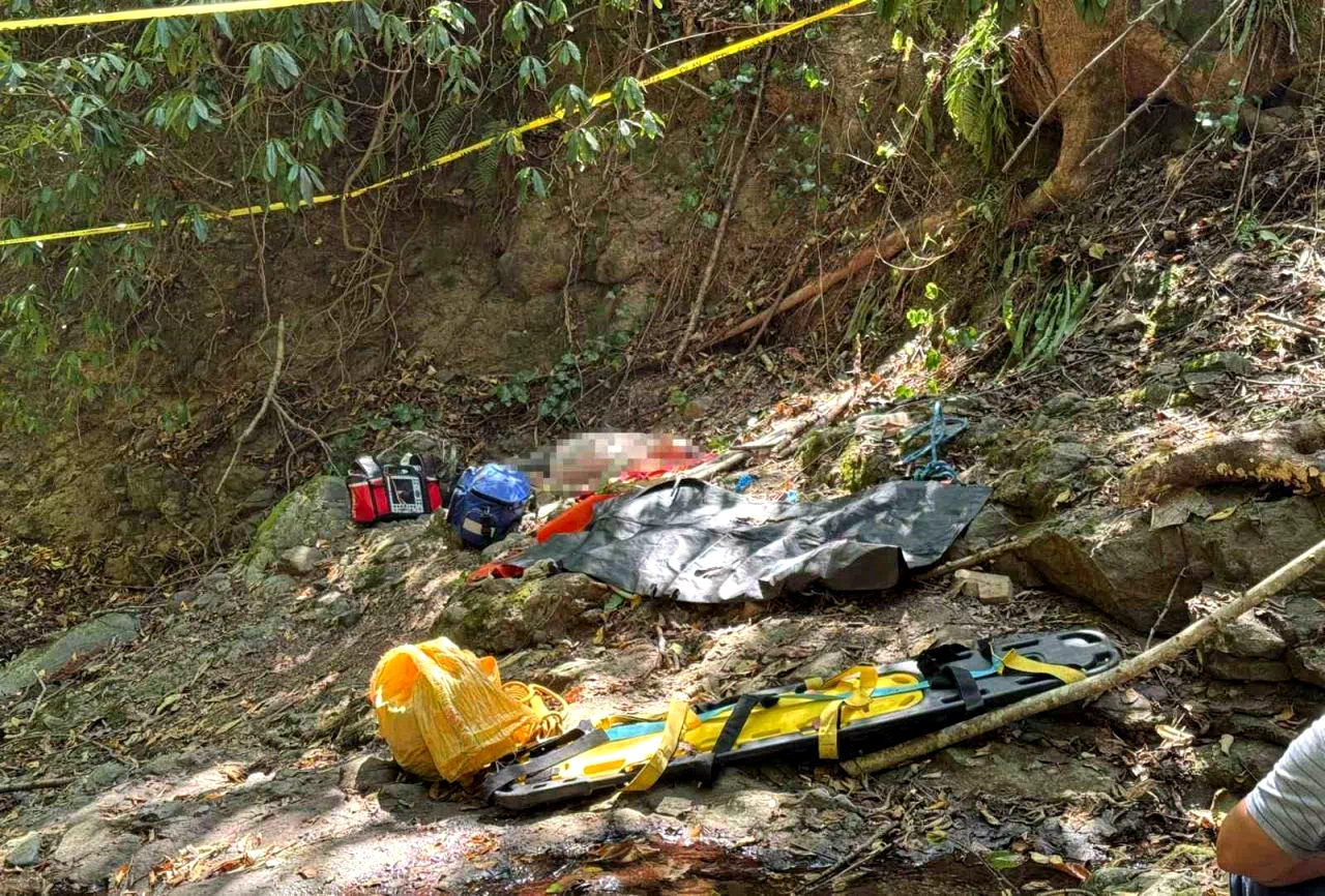 Ordu’da fındık toplarken uçurumdan düşen vatandaş hayatını kaybetti