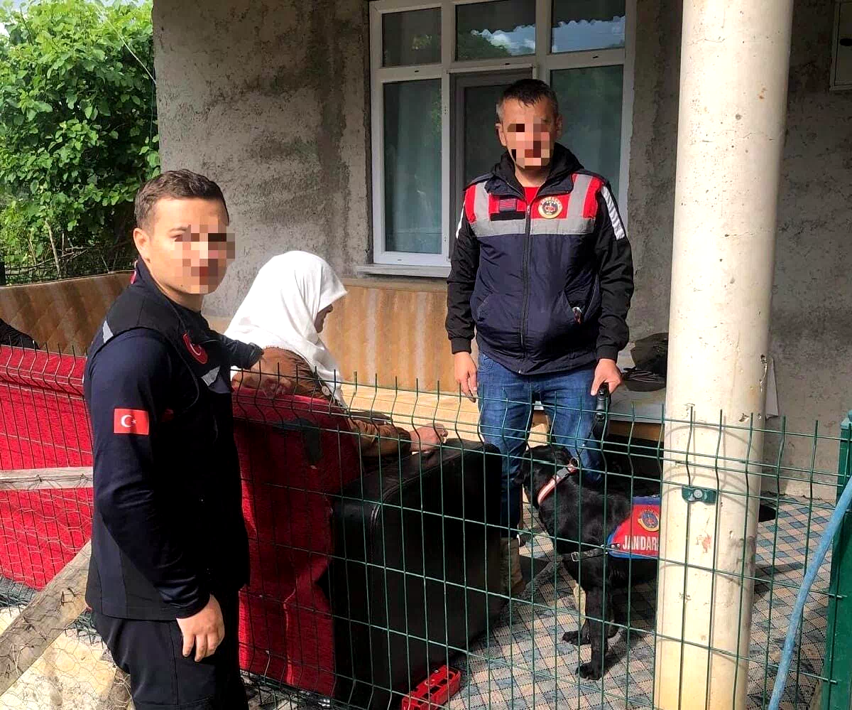 Ordu’da kayıp ihbarı olan kadın sağ olarak bulundu