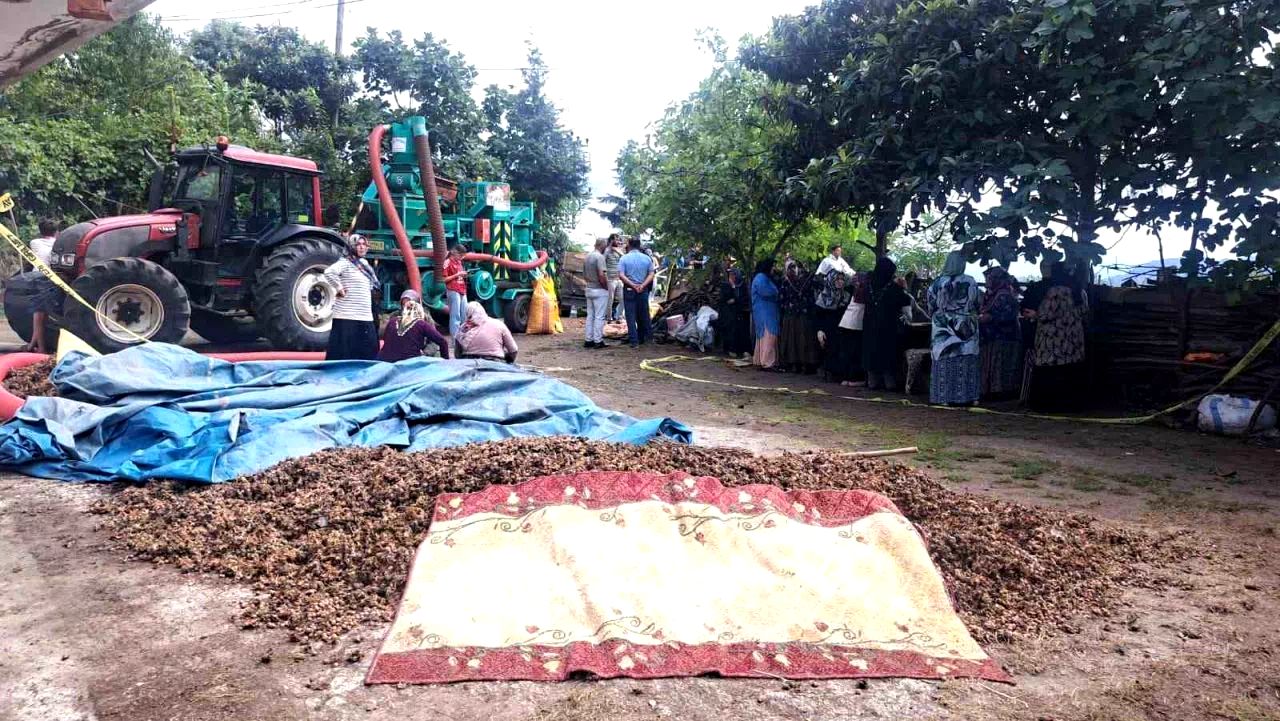 Ordu’da silahlı saldırı: 2 ölü