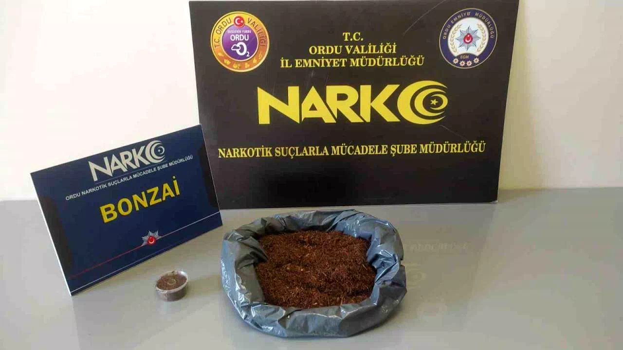 Ordu’da uyuşturucu operasyonlarında 2 tutuklama