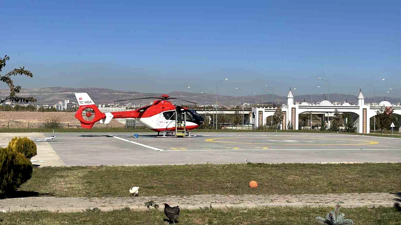 Ormanda ayı saldırısına uğradı, tedavi altına alındı