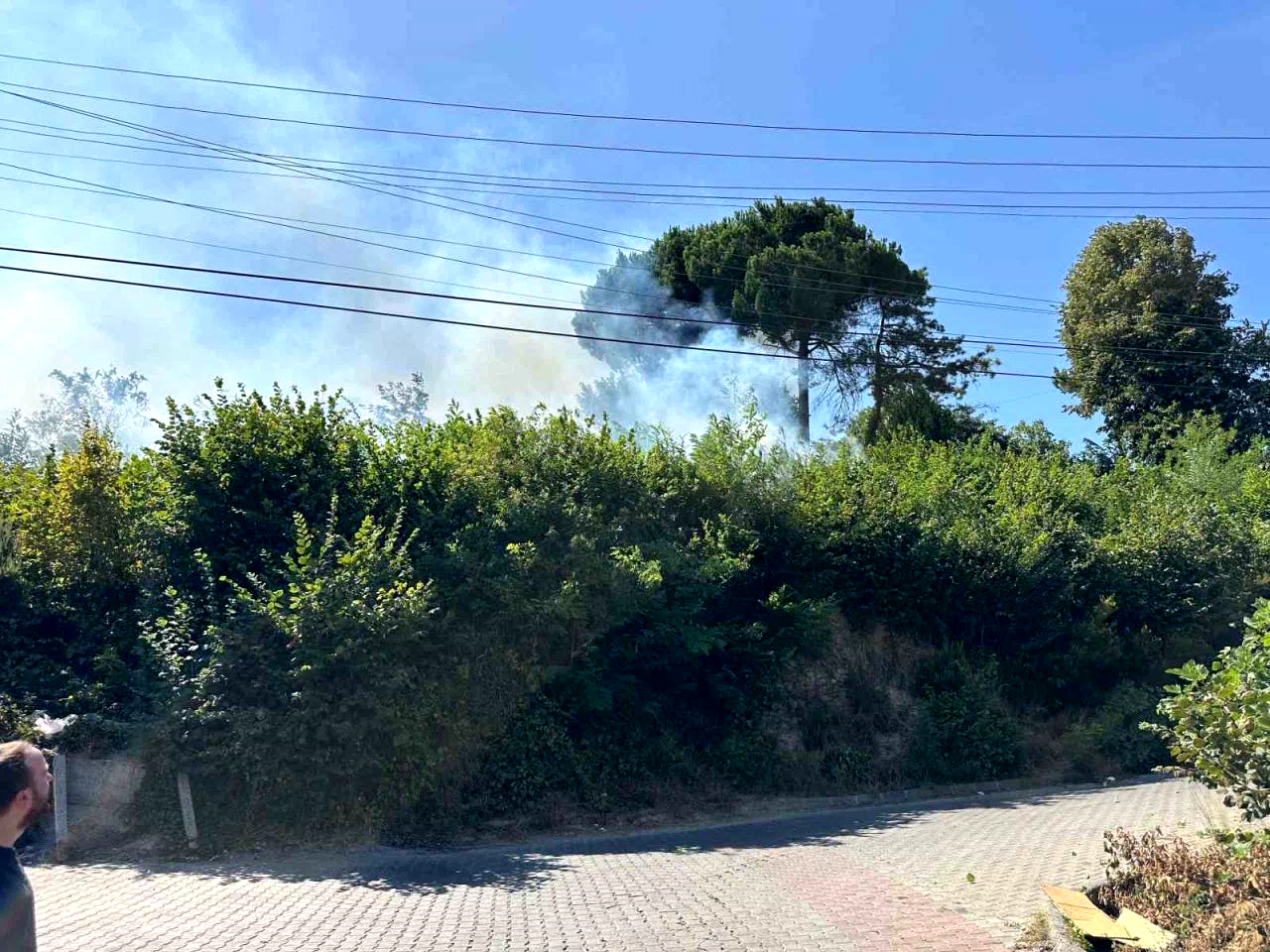 Ormanlık alanda çıkan yangın korkuttu