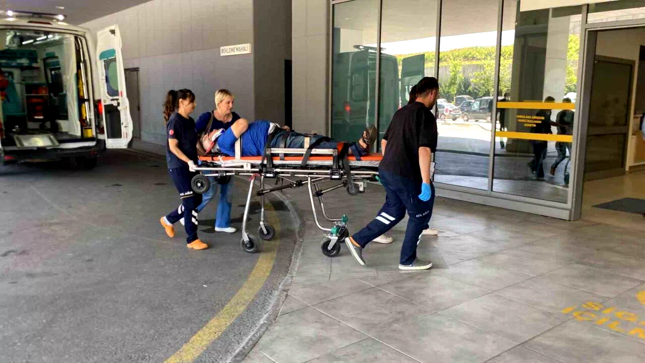 Otomobil ağaca çarptı, yaşlı çift yaralandı