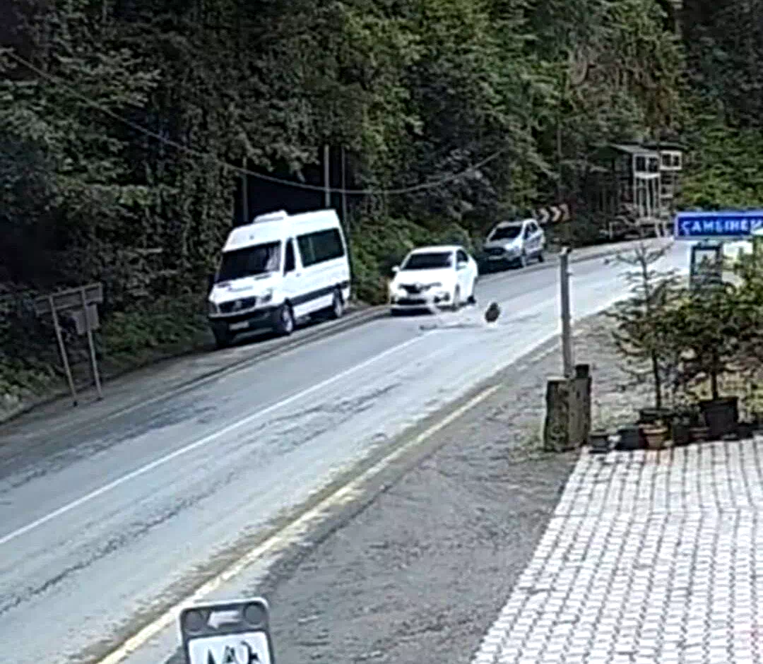 Otomobil düşen kayadan saniyelerle kurtuldu