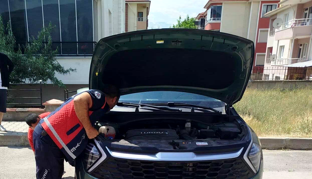 Otomobilin kaput kısmına sıkışan yavru kediler kurtarıldı