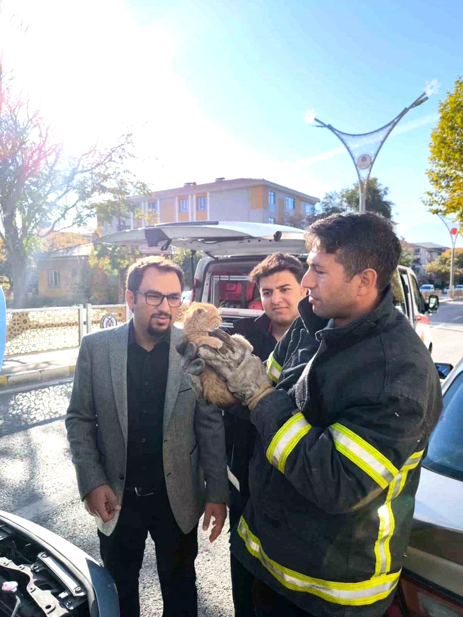 Otomobilin motor kısmına sıkışan yavru kedi itfaiye ekiplerince kurtarıldı