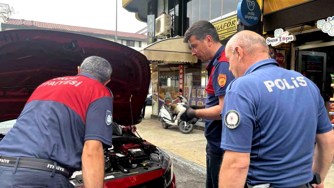Otomobilin motor kısmında bulunan kedi çevredekilerin dikkati sayesinde kurtarıldı
