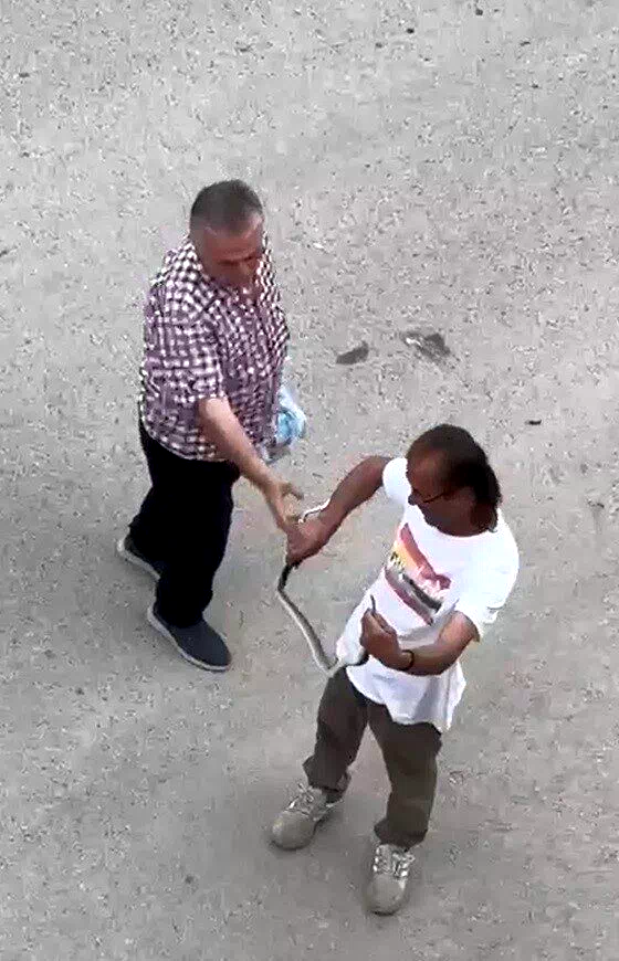 Paniğe sebep olan yılanı eliyle yakaladı