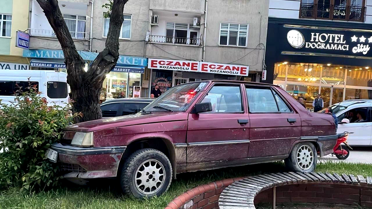 Park halindeyken haraket eden otomobil ağaraca çarparak durabildi