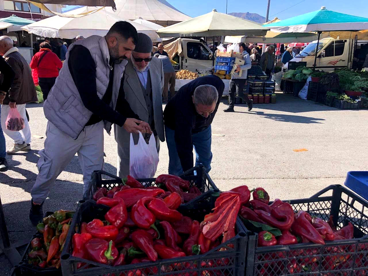 Pazarlarda salçalık biber hareketliliği