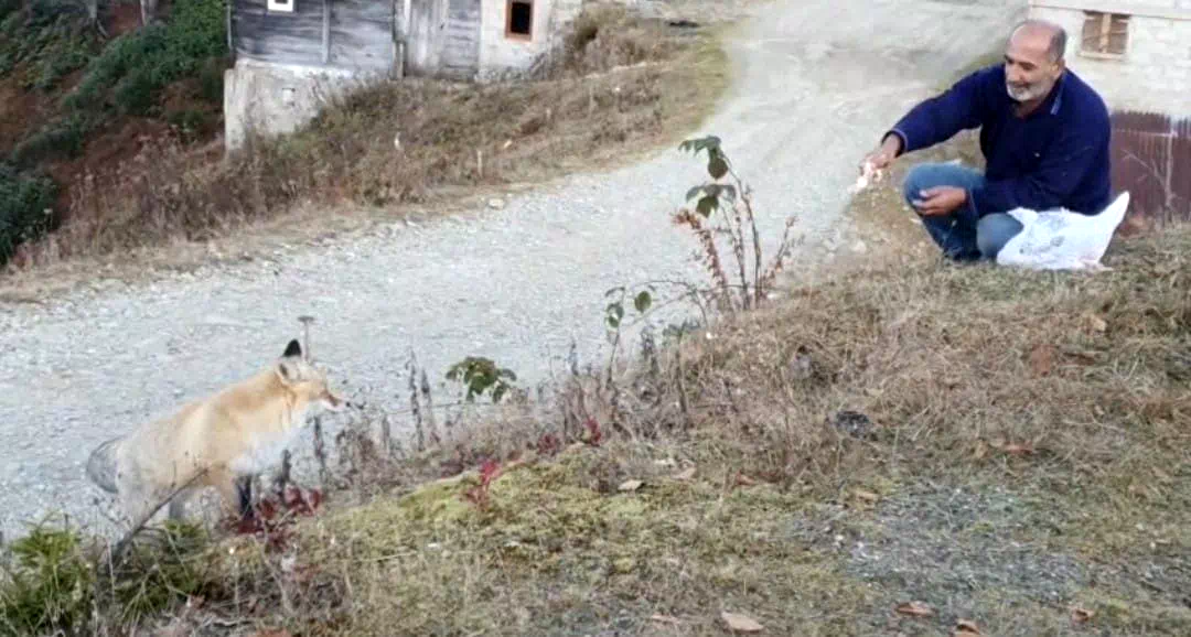 Pimbilona Yaylası’nda sıra dışı dostluk