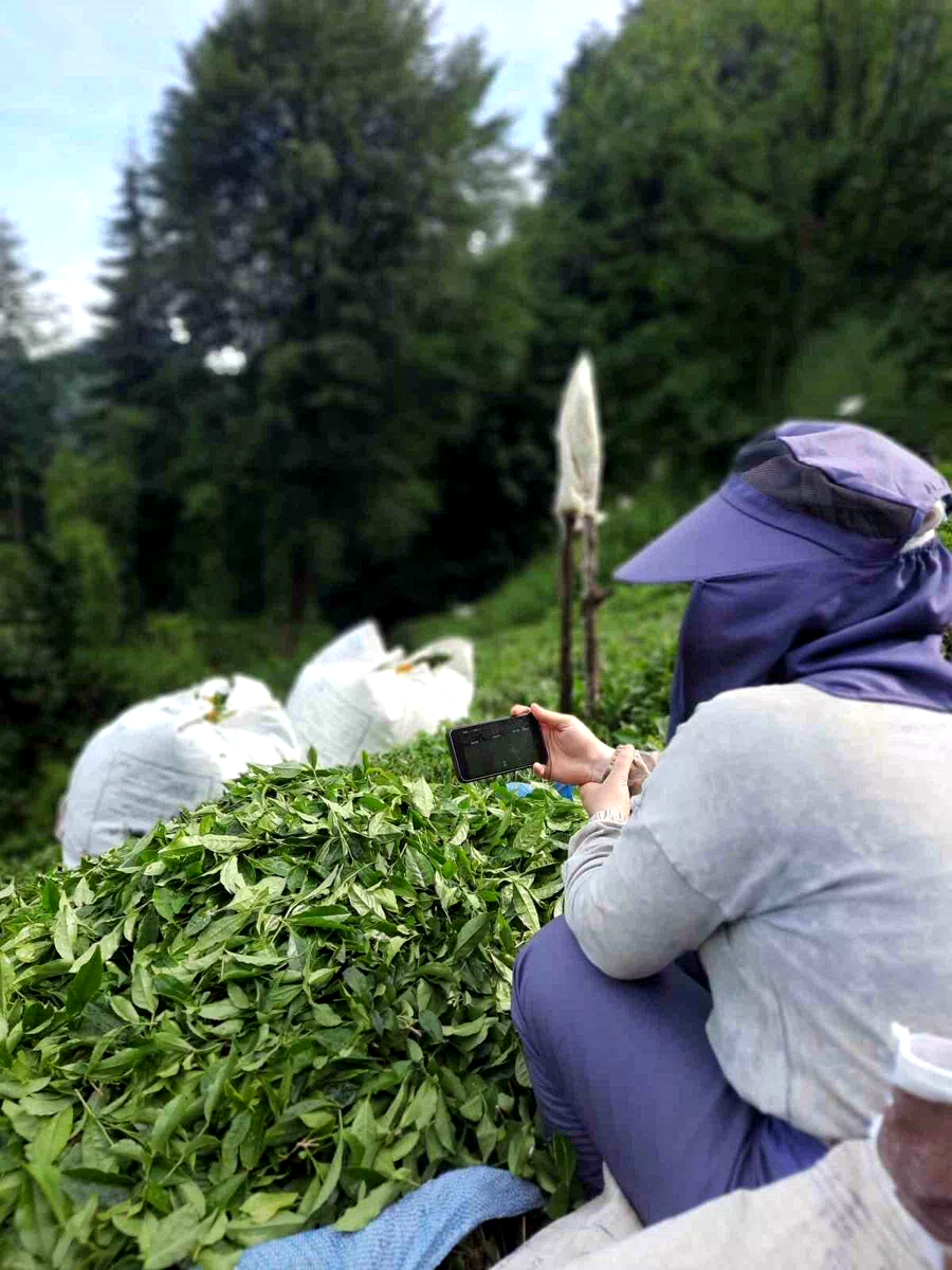 Rize’de çay bahçesinde milli maç heyecanı