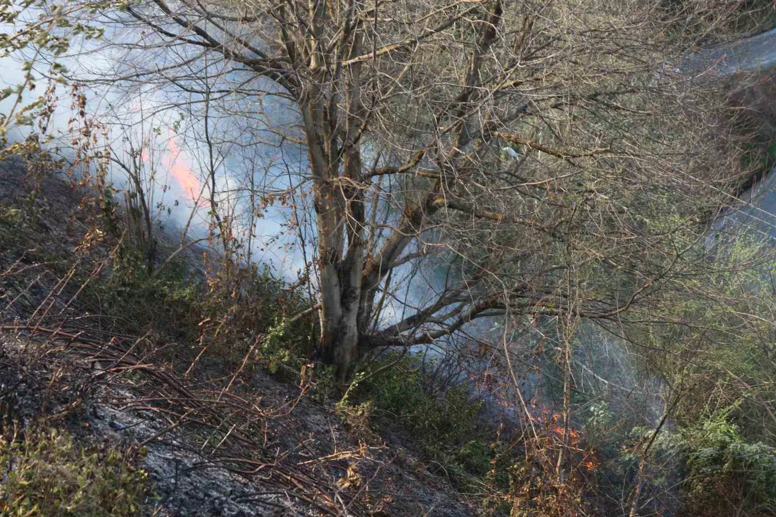 Rize’de çıkan anız yangını kısa sürede söndürüldü.