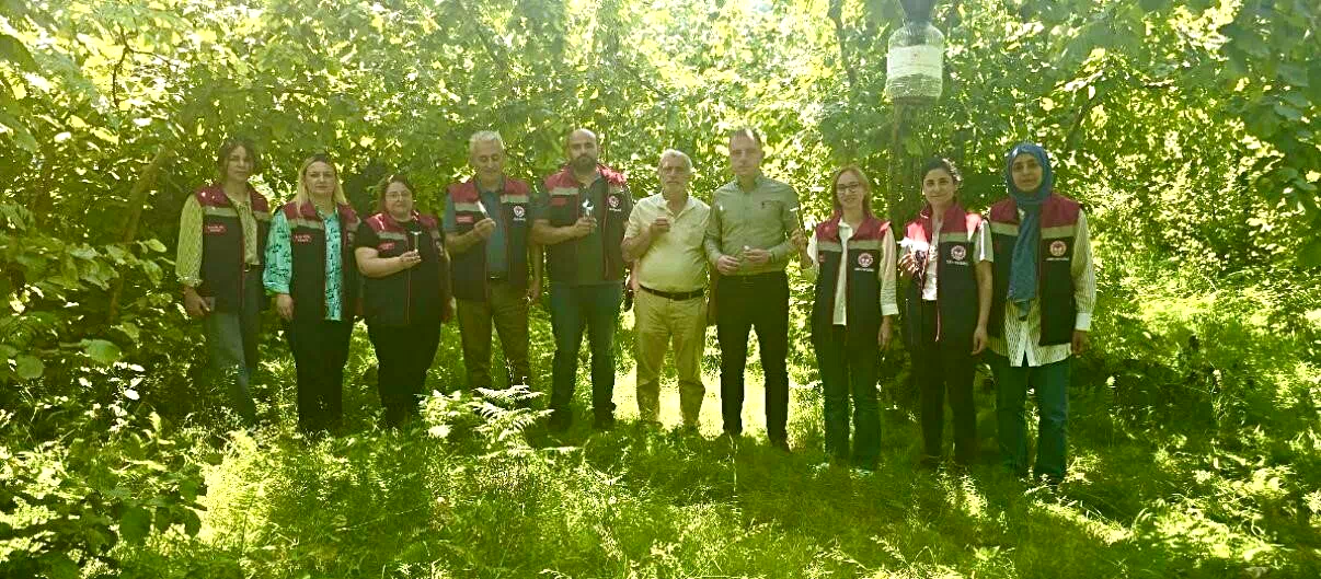 Rize’de kahverengi kokarcaya karşı 50 bin adet samuray doğaya salındı