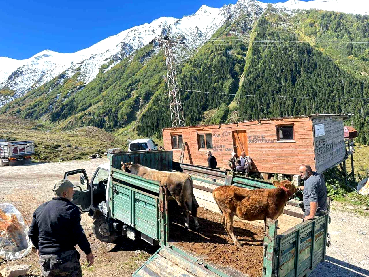 Rize’de yaylalardan dönüş erken başladı
