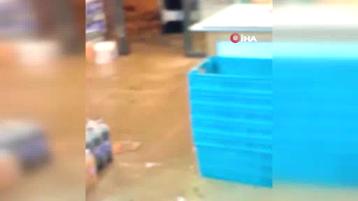 Rize sel sularına teslim oldu: İş yerlerini su bastı, sokaklar göle döndü
