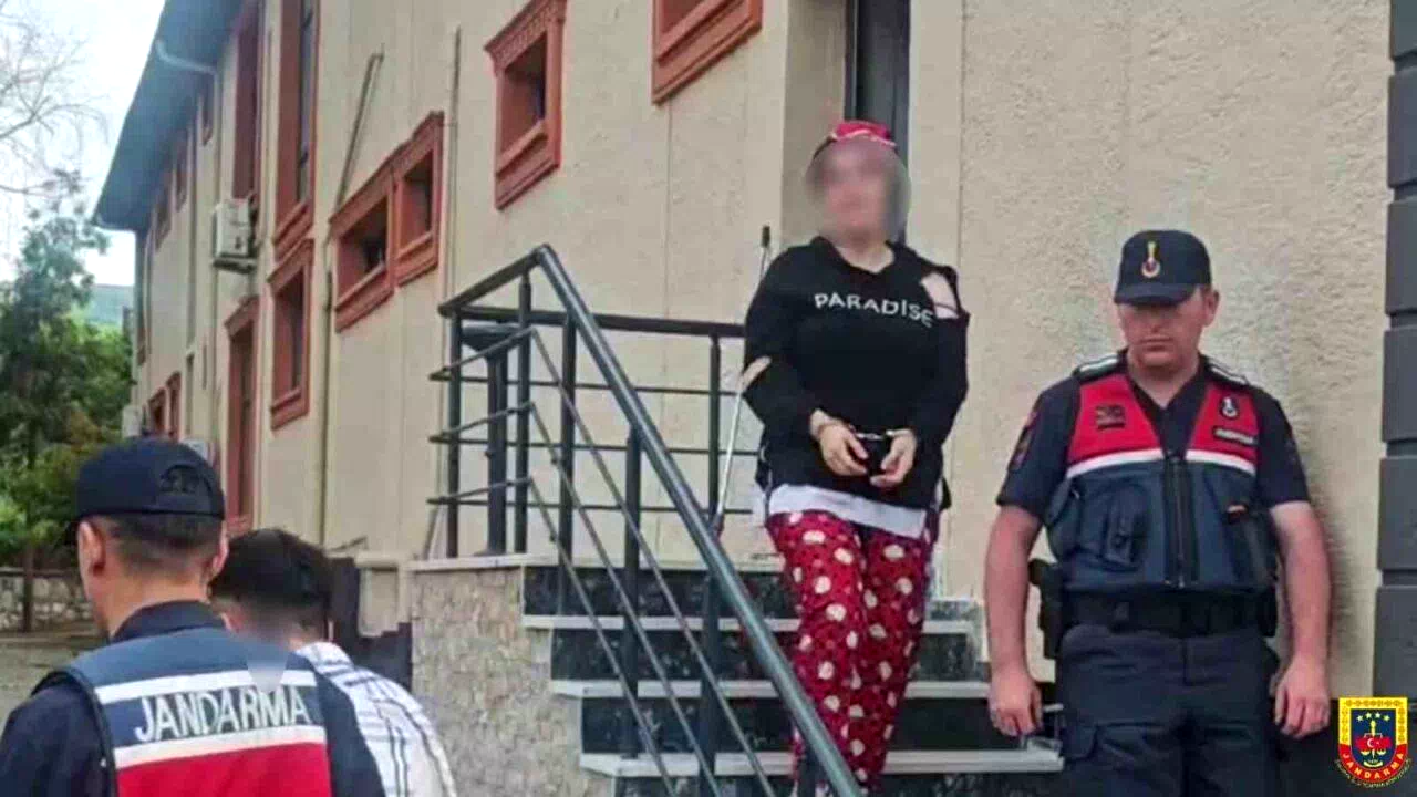 Sahte alıcılar 4 küçükbaş hayvanı çalıp kaçtı: Jandarma yakalandı