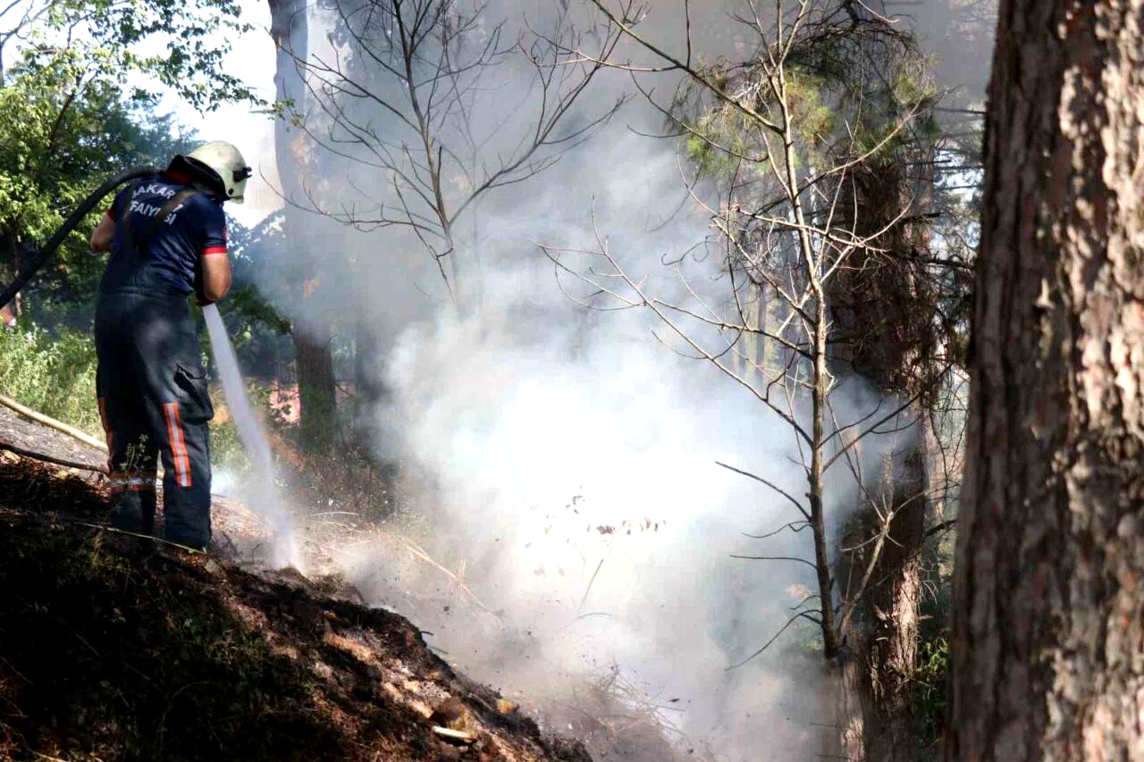 Sakarya’da ağaçlık alanda korkutan yangın