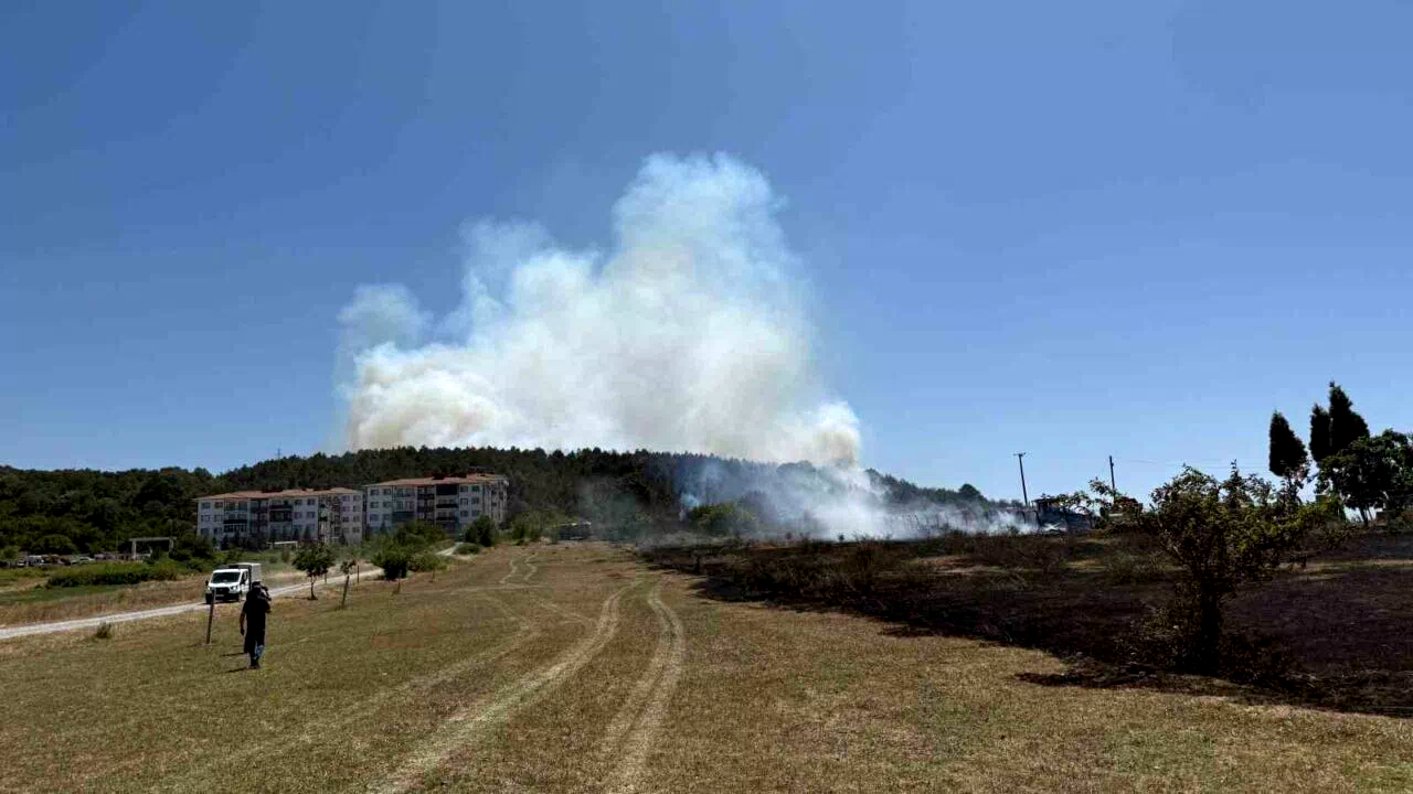 Sakarya’da depoda çıkan yangın ormana sirayet etti