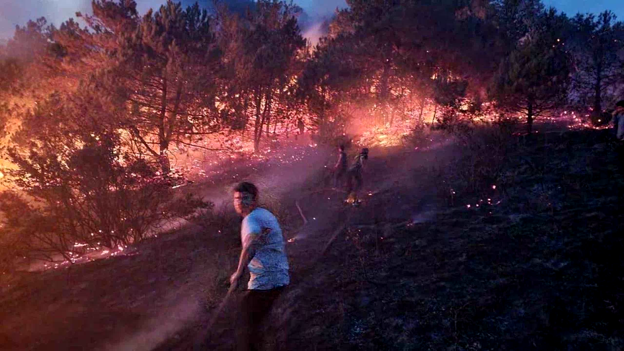 Sakarya’da makilik alanda çıkan yangın söndürüldü