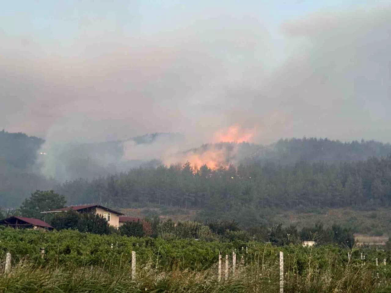 Sakarya’da orman yangınına 8 helikopter, 5 uçak müdahale ediyor