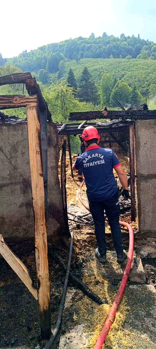 Sakarya’da samanlık ve ahırda çıkan yangında 24 civciv telef oldu