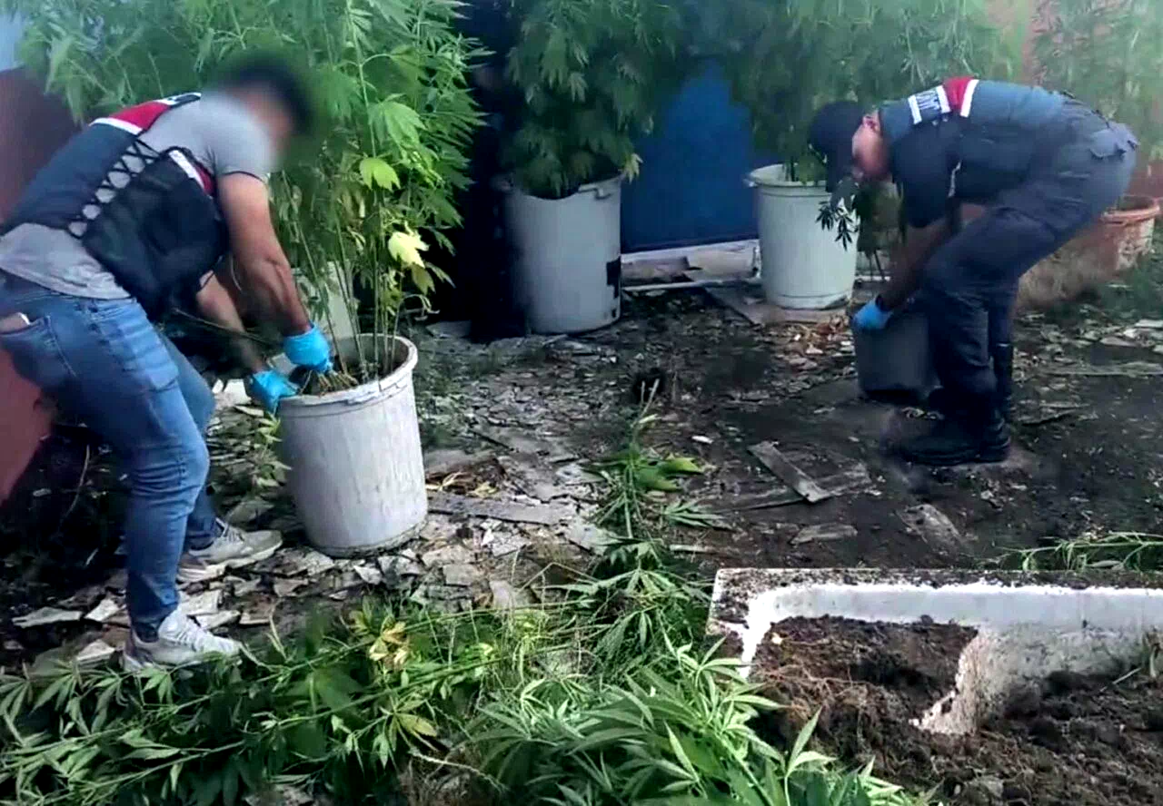 Sakarya’da uyuşturucu operasyonu: 1 tutuklama