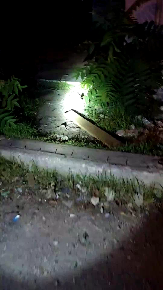 Sakarya’da uyuşturucuyla mücadelede metruk binalar denetim altında