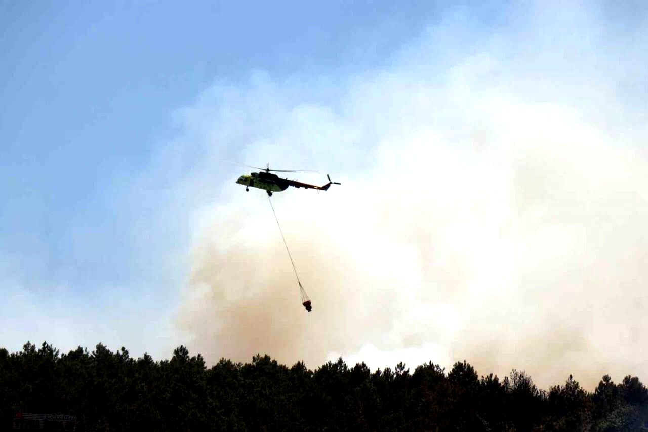 Sakarya’daki ormanlık alanda yangın: Havadan ve karadan müdahale ediliyor